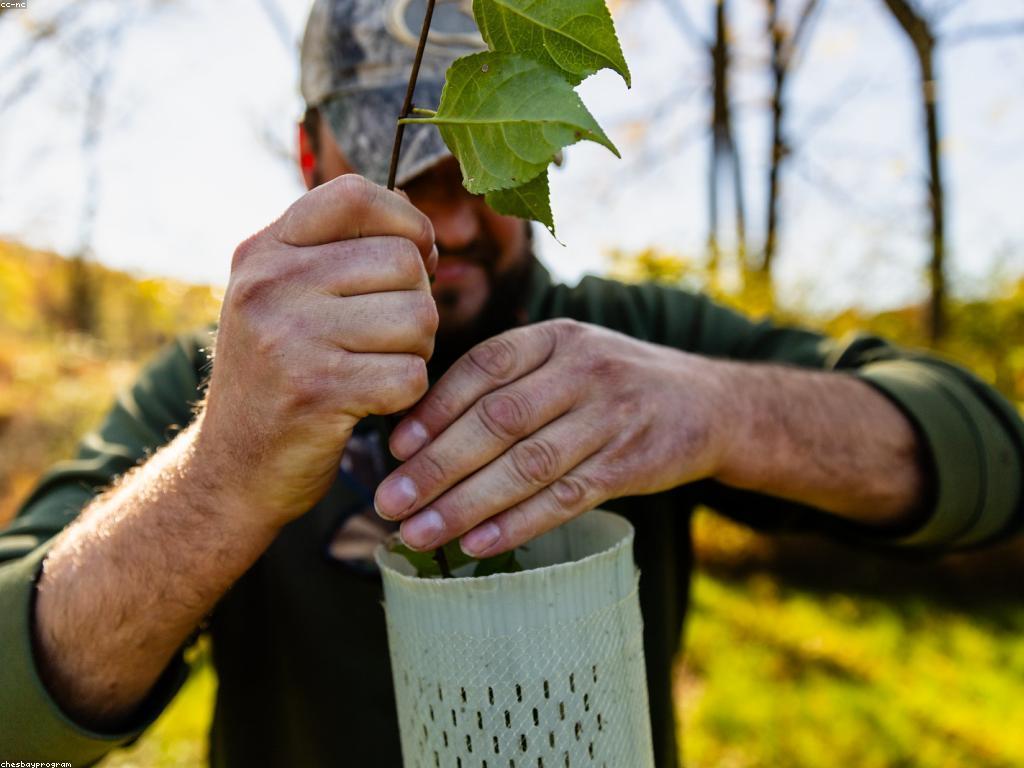 ការណែនាំស្លុត: បច្ចេកទេសកសិកម្មប្រកបដោយភាពយូរអង្វែង
