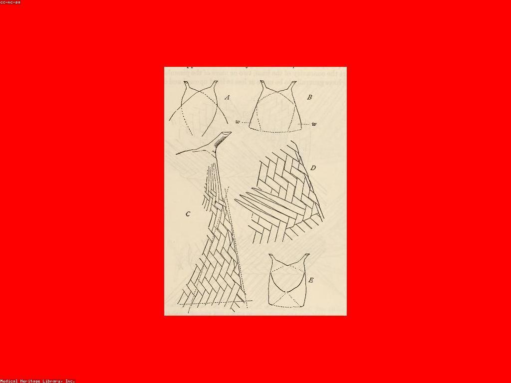 ព្រឹត្តិការណ៍និងប្រកួតទូទៅ