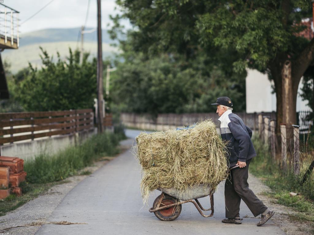 ការណែនាំស្លុត: ការអភិវឌ្ឍន៍កសិកម្មដោយស្របនឹងធម្មជាតិ