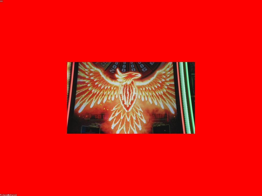 ប្រភេទស្លុត: របៀបជ្រើសរើសស្លុតដ៏ល្អបំផុត